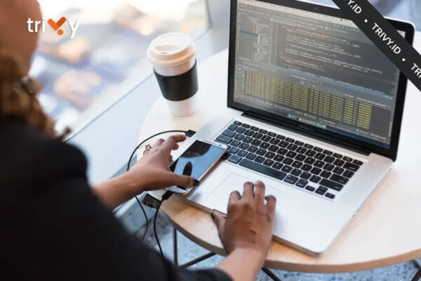 Jasa-Website-Semarang Jasa-Website-Semarang