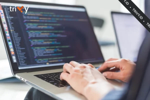 Jasa Website Profesional Jasa Website Profesional